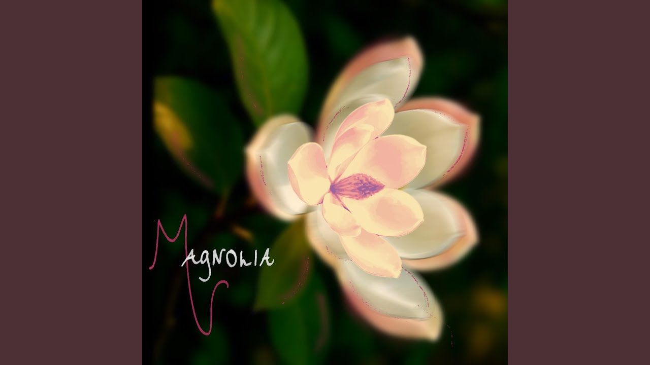 magnolia.