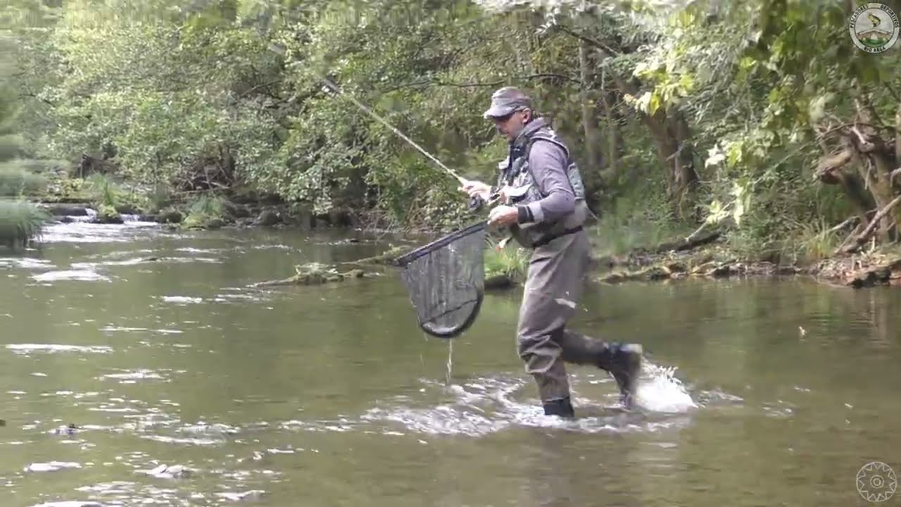 Social mosca Río Arga  2022, manga en el río  Araxes.