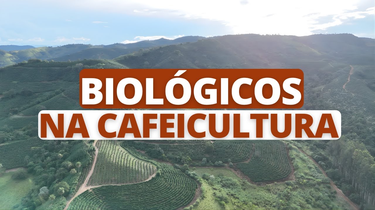 BIOLÓGICOS na cafeicultura