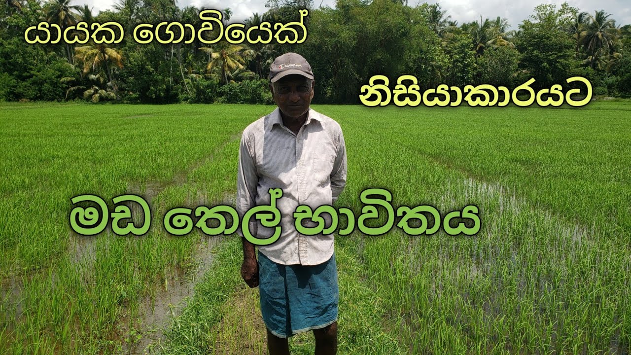 නිසියාකාරව මඩ තෙල් භාවිතා කරන ආකාරය.