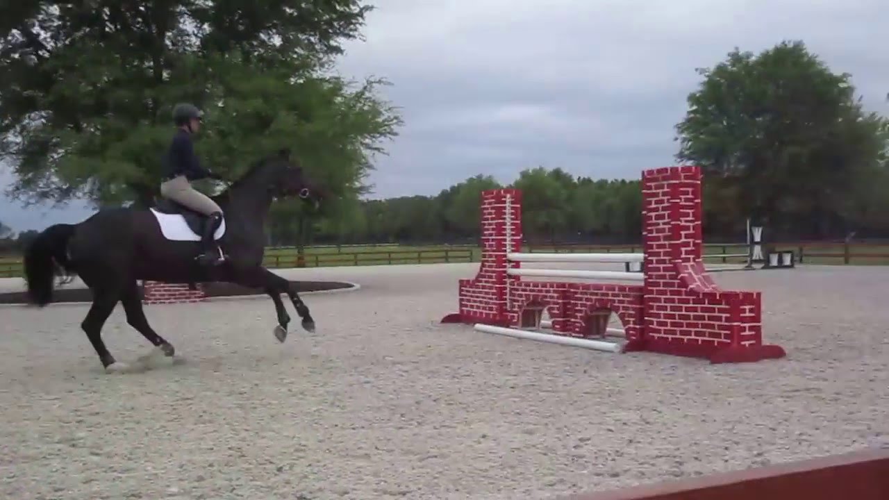 christina jason maclain ward   clinic 4152016