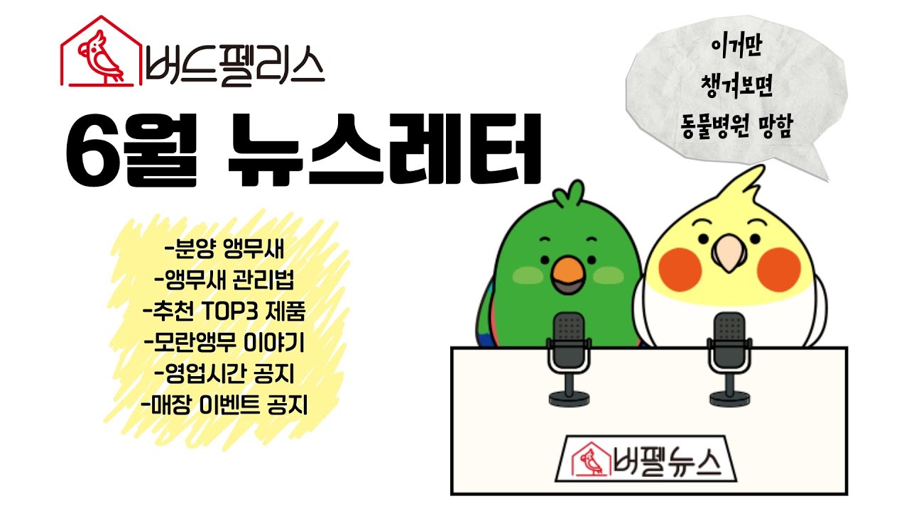 6월 버펠 뉴스! 건강앵으로 기르기 위해서 꼭 알아야 되는 내용~