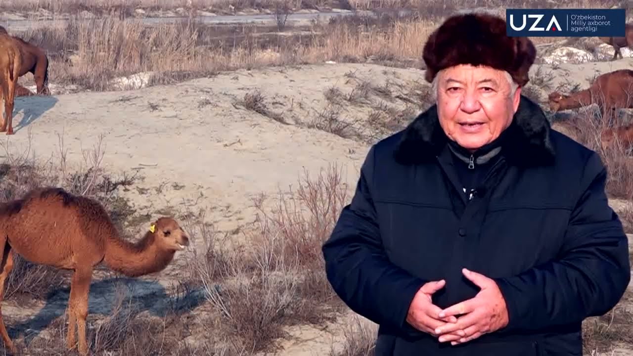 Туя сути қай даражада шифобахш, у барча беморни бирдек даволай оладими?