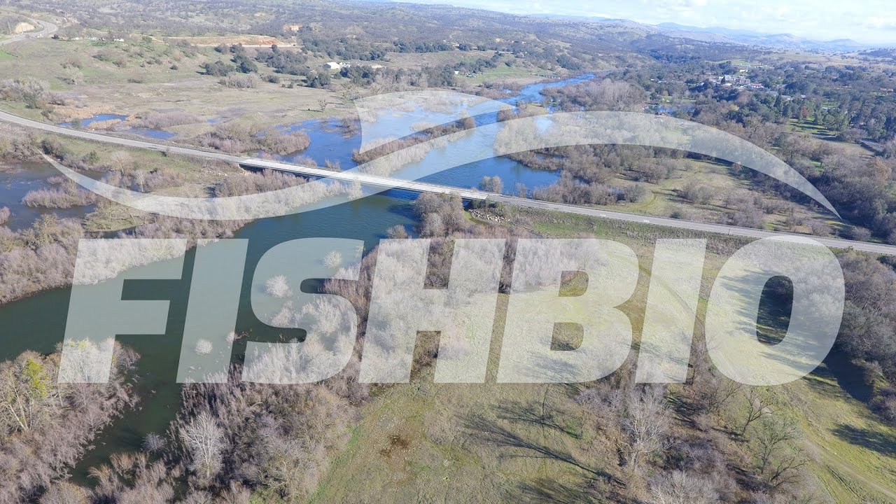 FISHBIO Shorts | Drone Footage of Tuolumne River High Flow