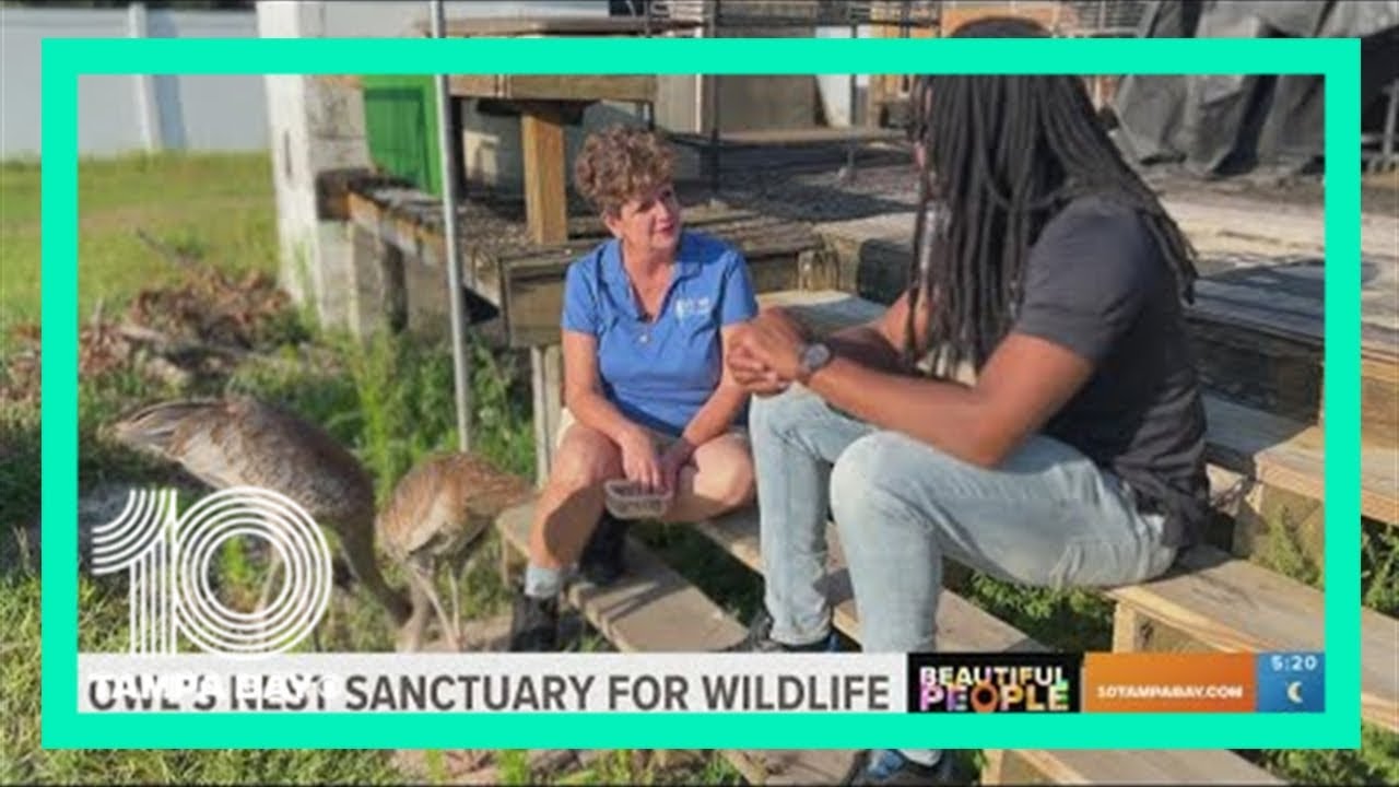 Owl's Nest Sanctuary for Wildlife works around the clock to save animals | Beautiful People