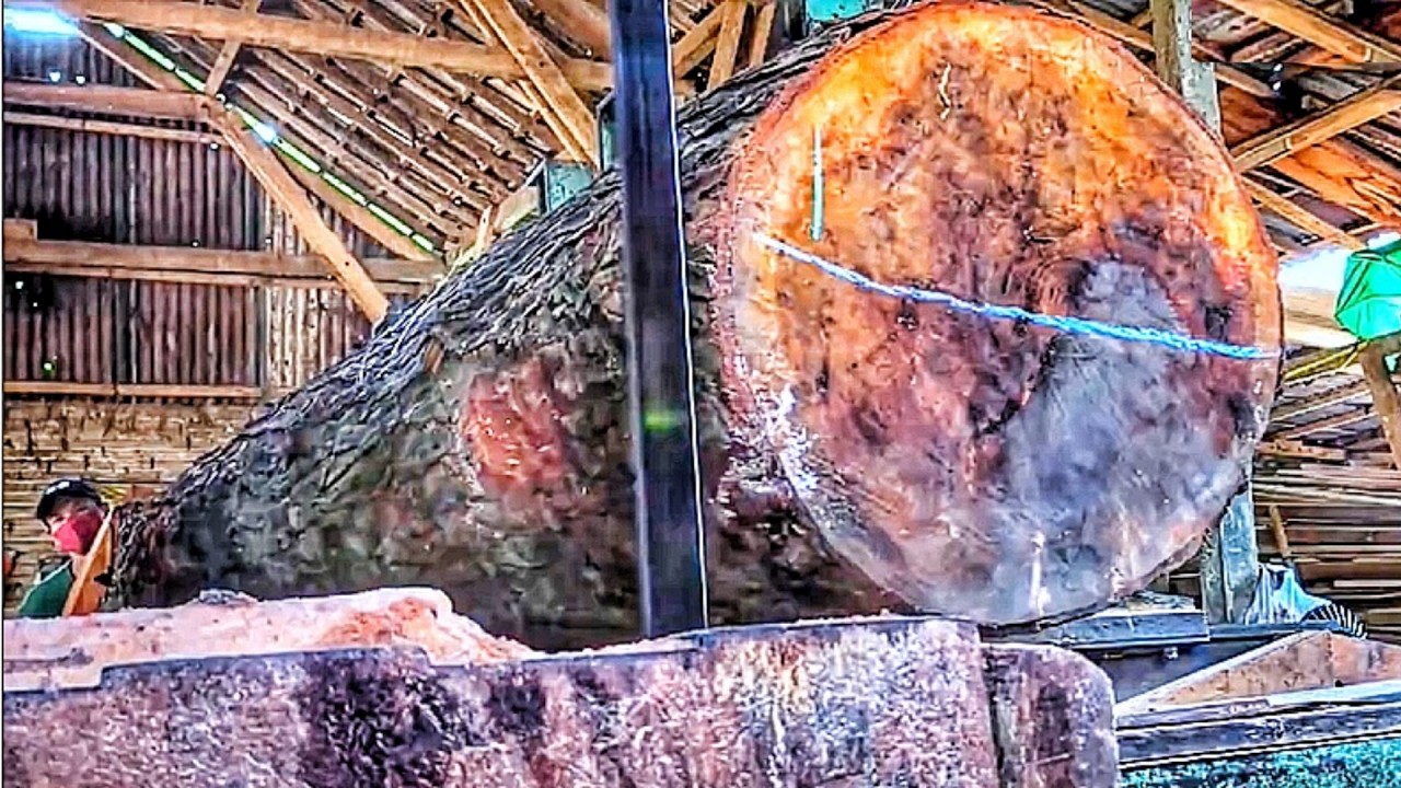 A Giant Rare Redwood Log Meets the Sawmill Blade 🌲