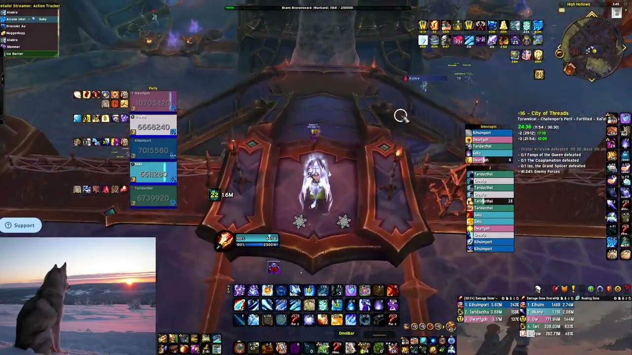 Frost Mage 16 City of Threads TWW S1