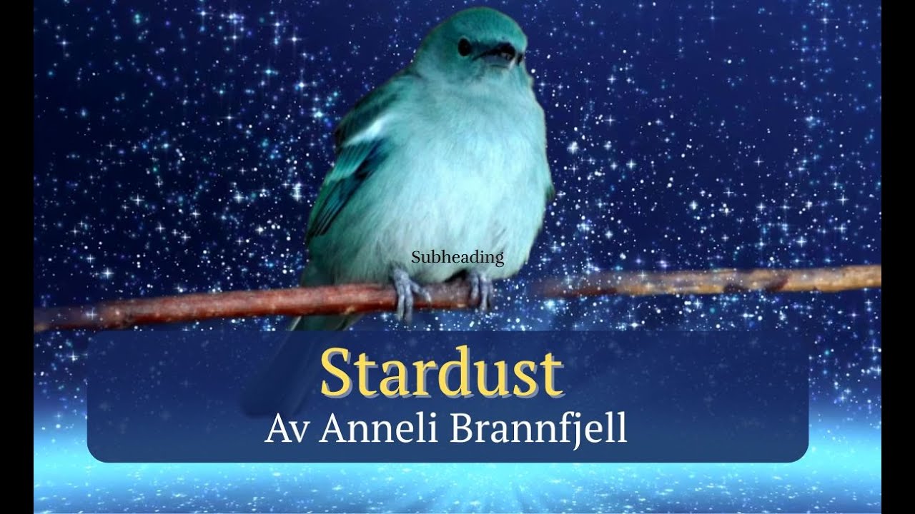 🌟 Stardust | Heartfelt Country Song | Warm Female Vocal | Anneli Brannfjell | Vilje Studio