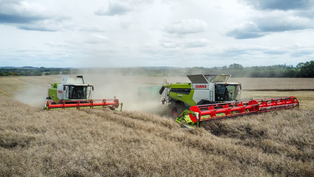 R&uuml;ckblick Ernte 2023 - Landwirtschaft in MV (2/3)