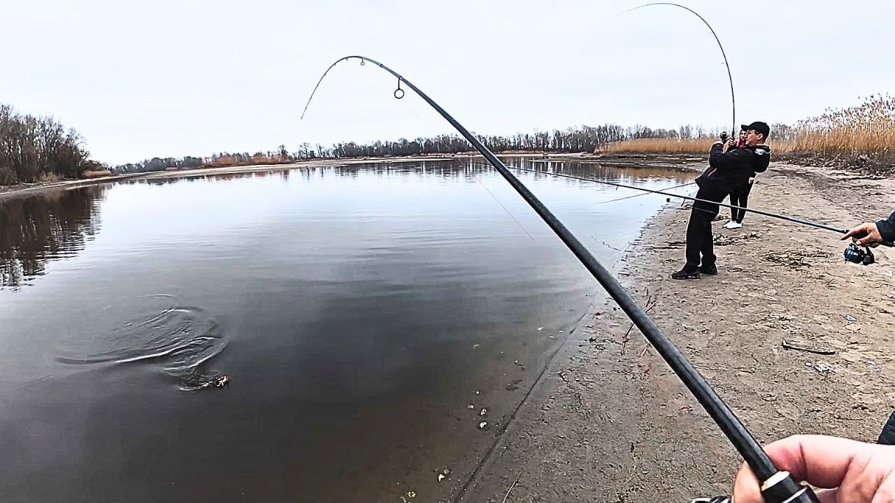 Рибалка на Дніпровських заливах, Велика кількість голодних шпенів