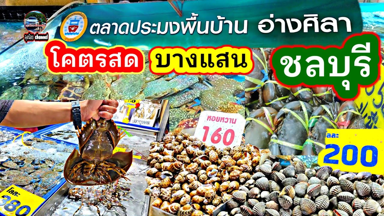 #ตลาดประมงพื้นบ้านอ่างศิลา#ตลาดอาหารทะเล#อ่างศิลา#บางแสน#ชลบุรี#สดใหม่ทุกวัน #ราคาถูก#ลุงน้อยchannel