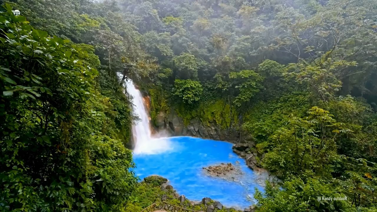 8k Relaxing water sounds singing birds in forest of Nature 5hrs relaxing outdoor