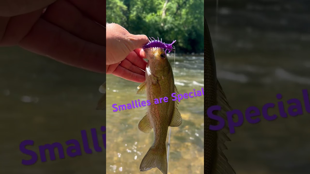 Smallmouth are Special 
