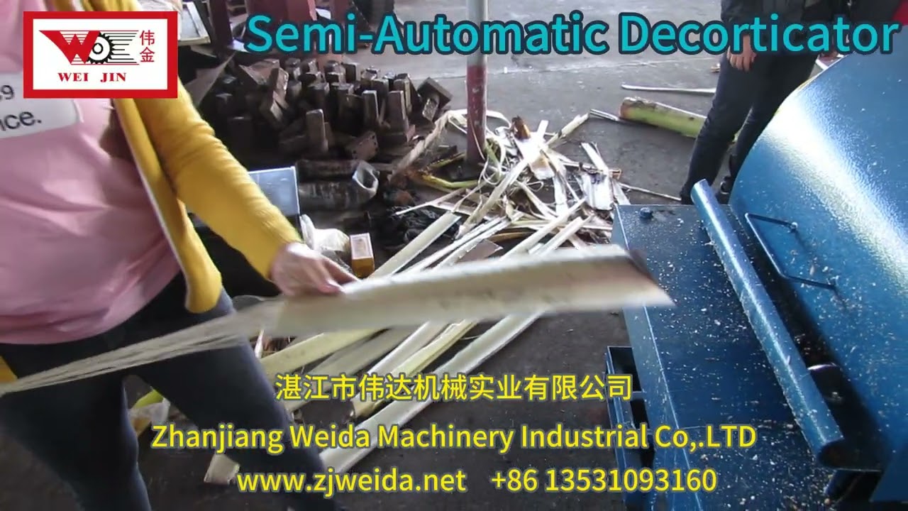 👋Semi-Automatic Decorticator GM-400 for Banana Stem Fiber Extraction#manufacturing #bananafiber