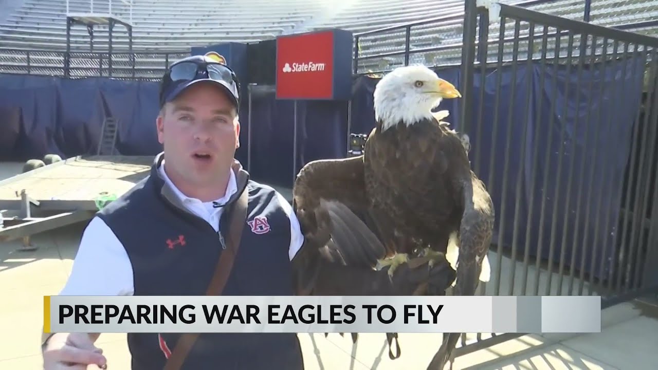 War Eagle training: A behind-the-scenes look