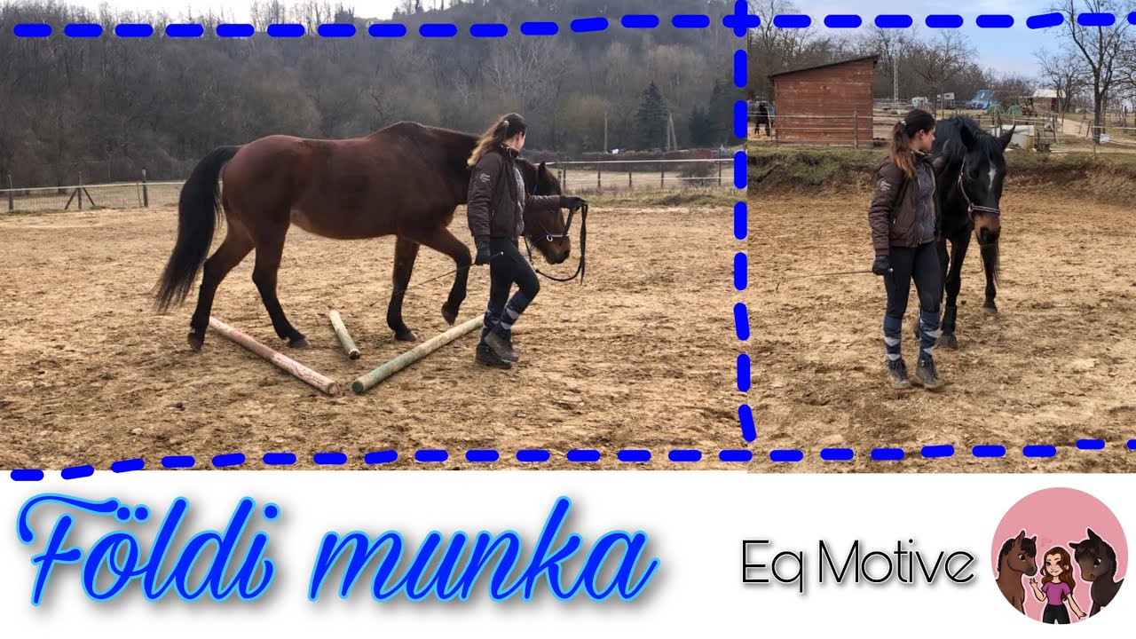 F&ouml;ldi munka (vagy valami olyasmi) || Eq Motive