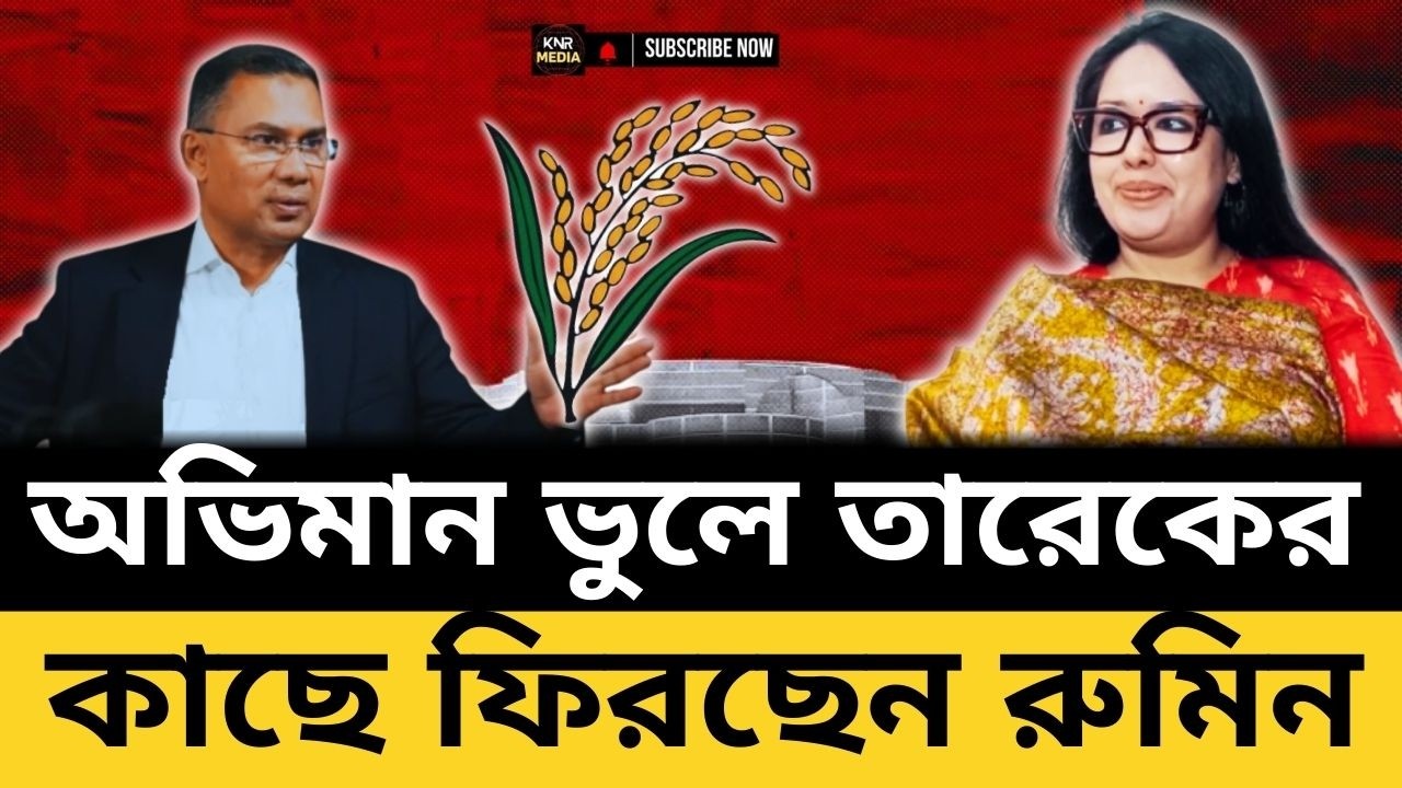 টাকা খে*য়ে রুমিনকে ভোট দিলো প*ল্টিবাজ জনগণ! বিএনপিকে ঝামা ঘষে বিপুল ভোটে বিজয়ী রুমিন।| BNP |