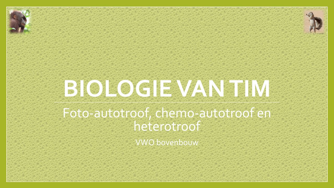 Biologie van Tim - Founder effect, flessenhalseffect en eilandtheorie (bovenbouw)