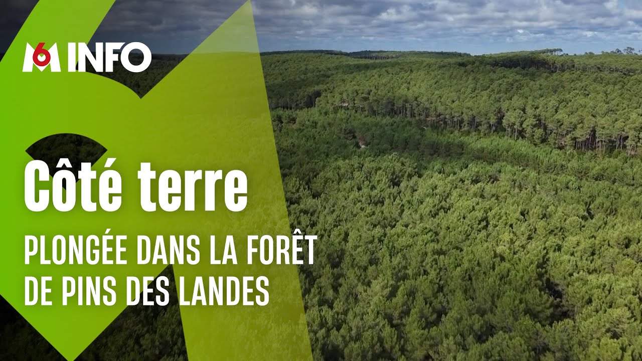 Visiter les Landes avec ceux qui la connaissent le mieux