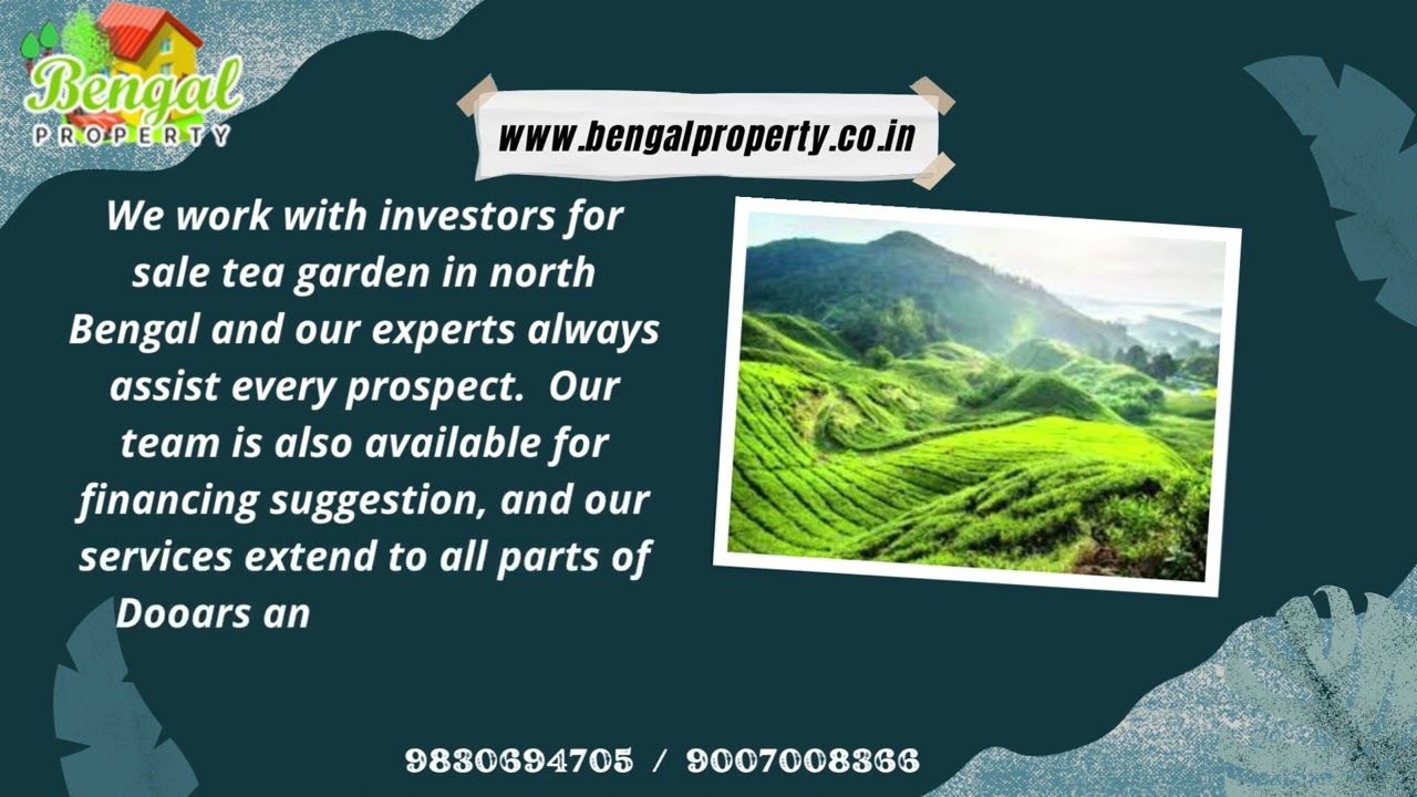 Best Growing Tea Gardens are Available For Sale at North Bengal and Assam