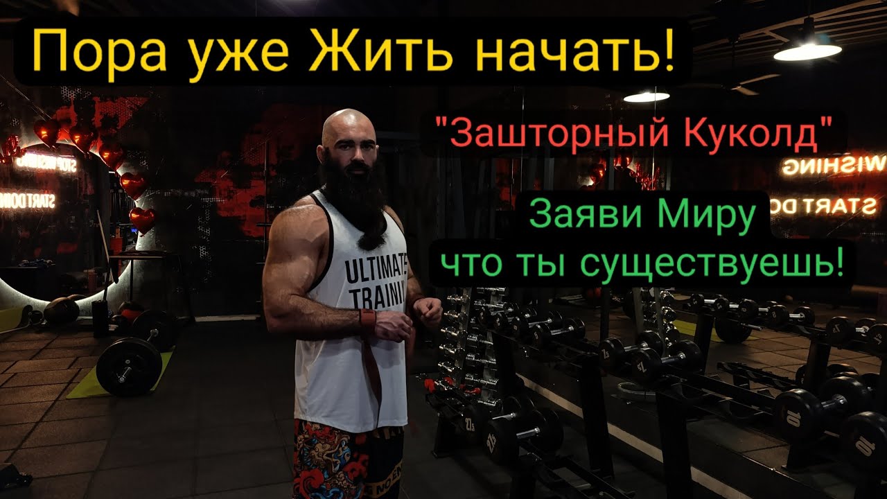 Быть Застенчивым Молчуном - быть Падальщиком |Юнг ИНДИВИДУАЦИЯ