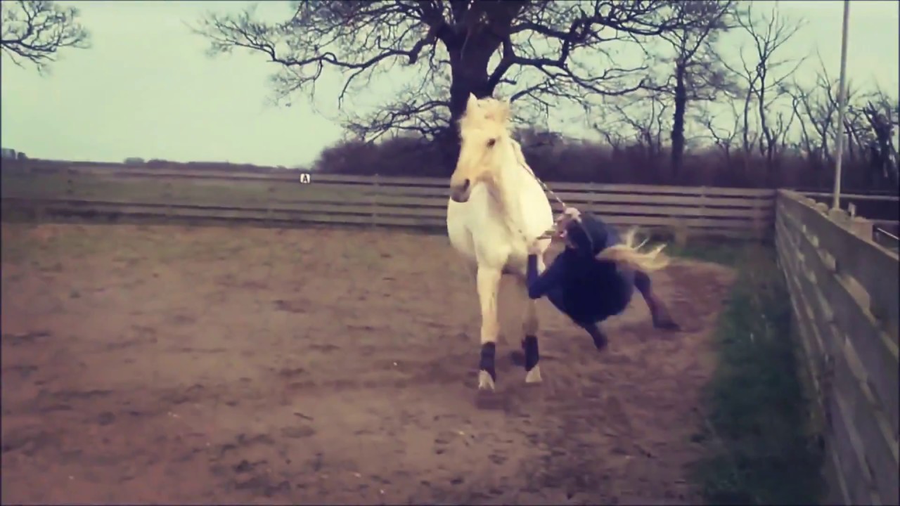 I'm sorry I'm a f*ck up {Horse Fails & Falls 2017!}
