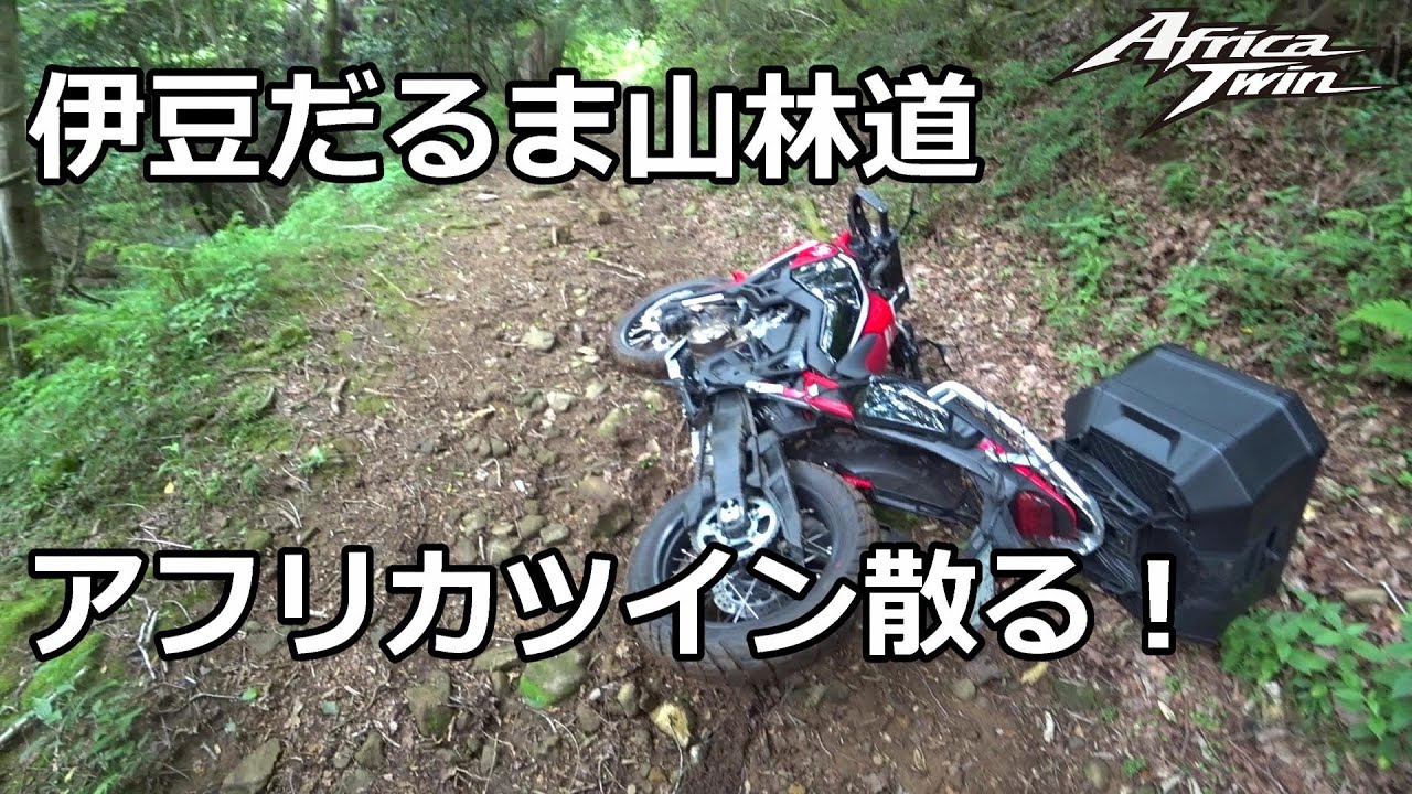 伊豆だるま山林道にてアフリカツイン散る！　Africa Twin Crash in Mt Daruma forest road