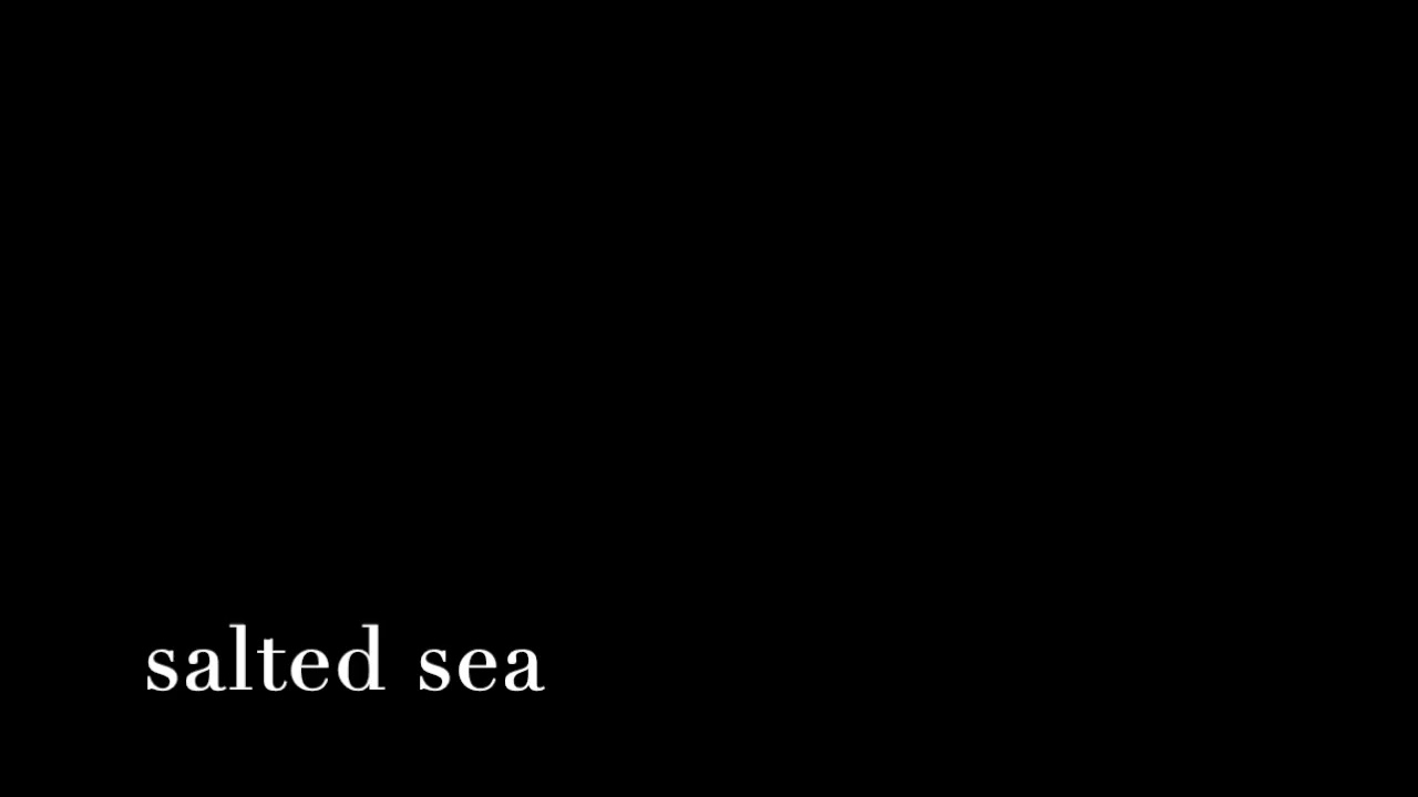 -23. salted sea