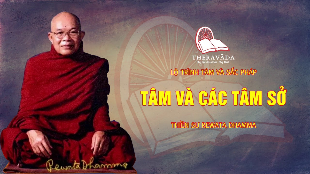 3. T&acirc;m V&agrave; C&aacute;c T&acirc;m Sở | Ng&agrave;i Rewata Dhamma - Lộ Tr&igrave;nh T&acirc;m V&agrave; Sắc Ph&aacute;p