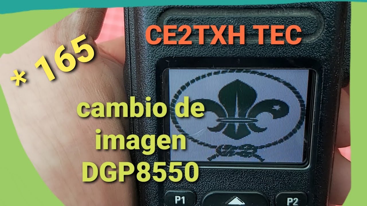 DGP 8550   CAMBIO DE IMAGEN  CE2TXH  TEC *165