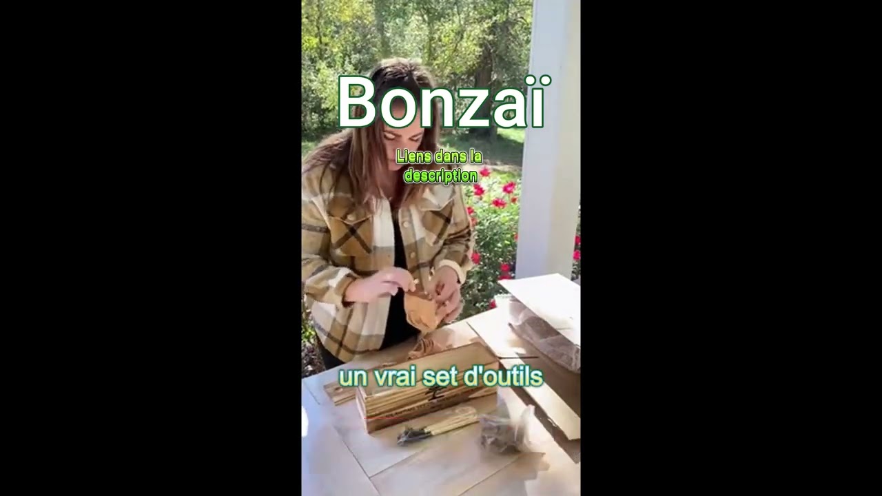 J’ai fait pousser un bonsaï à partir d’une graine… et c’est addictif