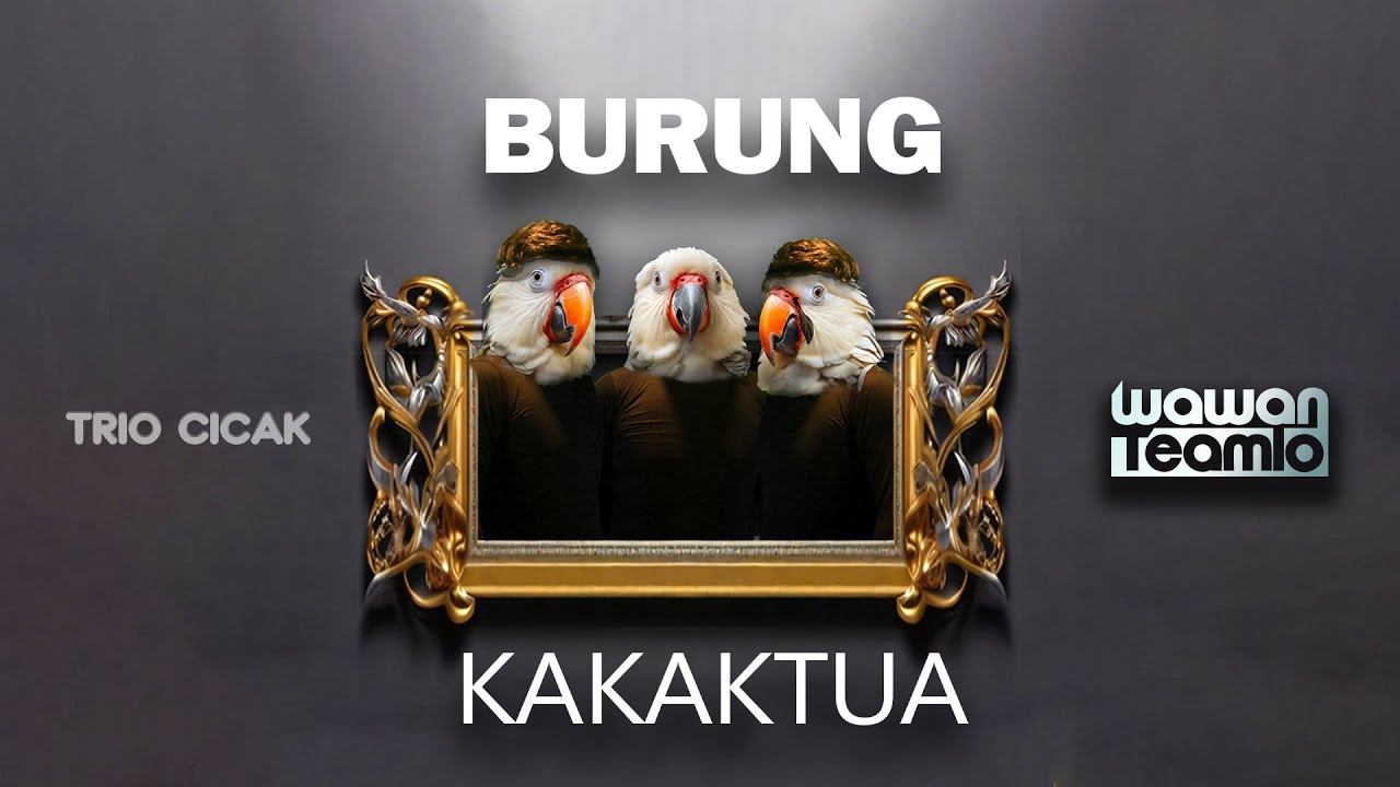 BURUNG KAKAK TUA  --- Wawan Teamlo  a.k .a  TRIO CICAK  ( Official Music Video)