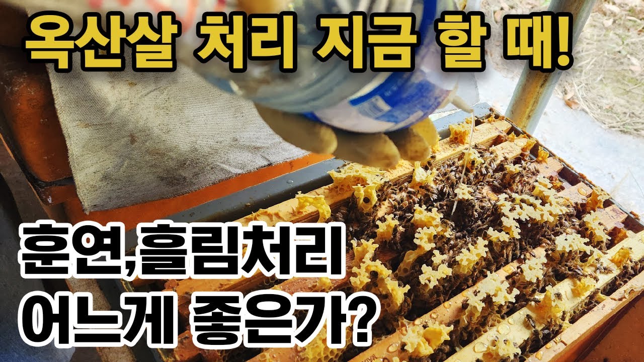옥살산 흘림 처리 효과는?