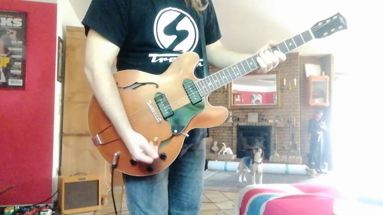 Beagle howling to my guitar playing