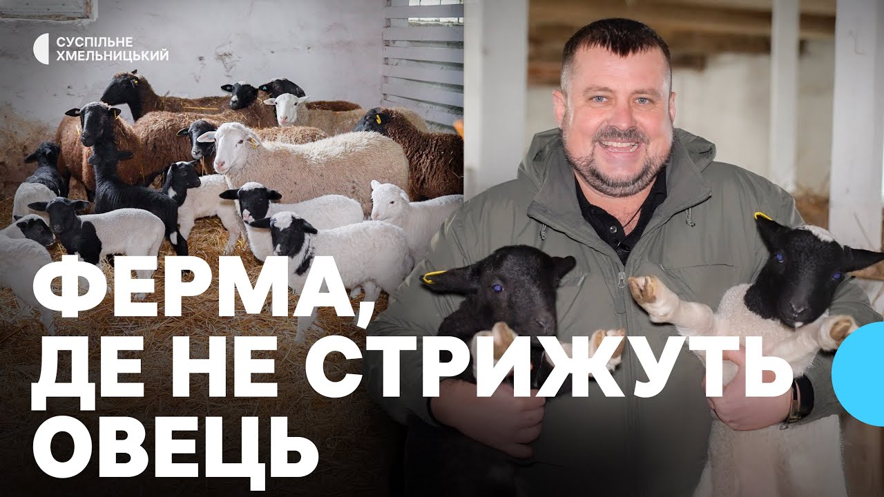 Ветеран війни з Хмельниччини вирощує овець