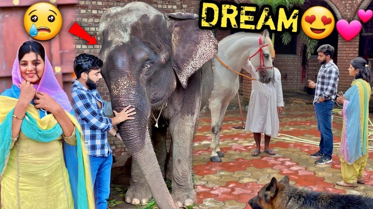 😍YE PUNJAB K! LADK! MUJH£ JANNAT MA! L£ GY! 💕FINALLY MUJH£ M£RA DREAM PET M!L GYA🥹MUJH£ YE CHAH!YE🙏🏻
