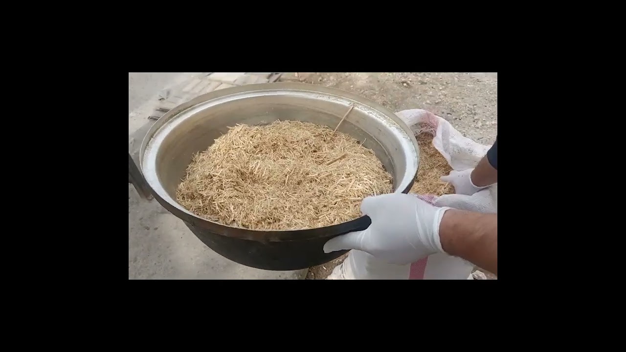 Evde İstiridye mantarı yetiştiyorum bölüm-1