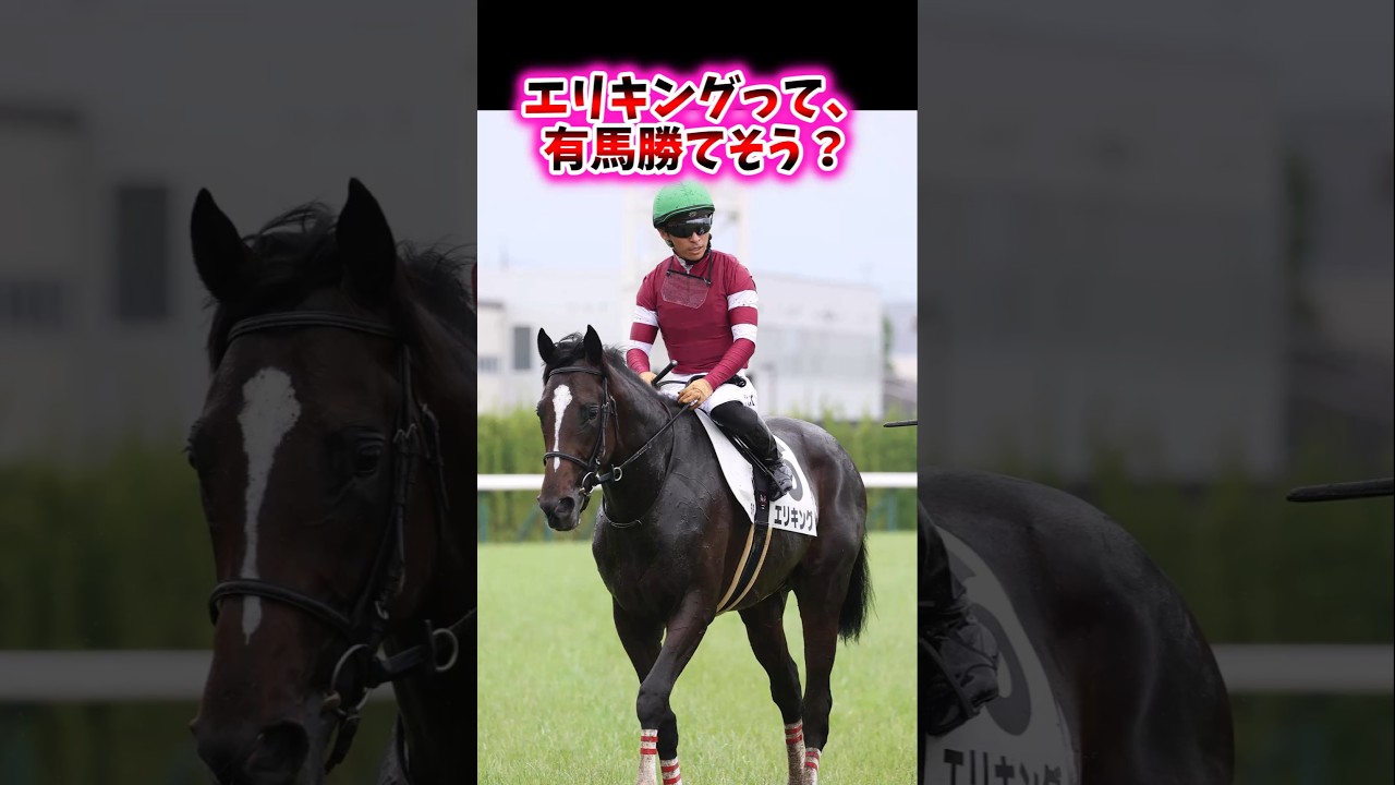 エリキングって、有馬勝てそう？【競馬反応集】#エリキング　#菊花賞　#有馬記念