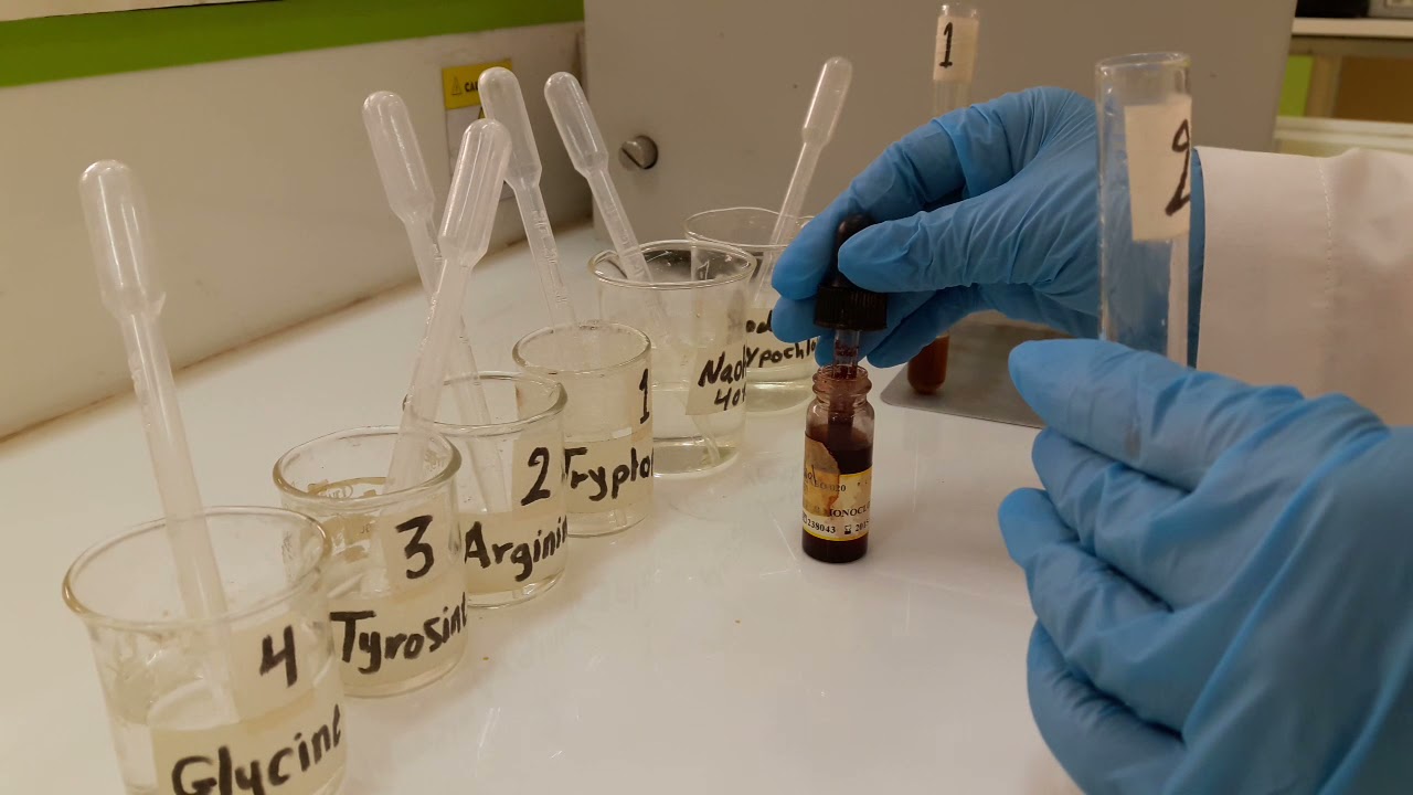Sakaguchi Test