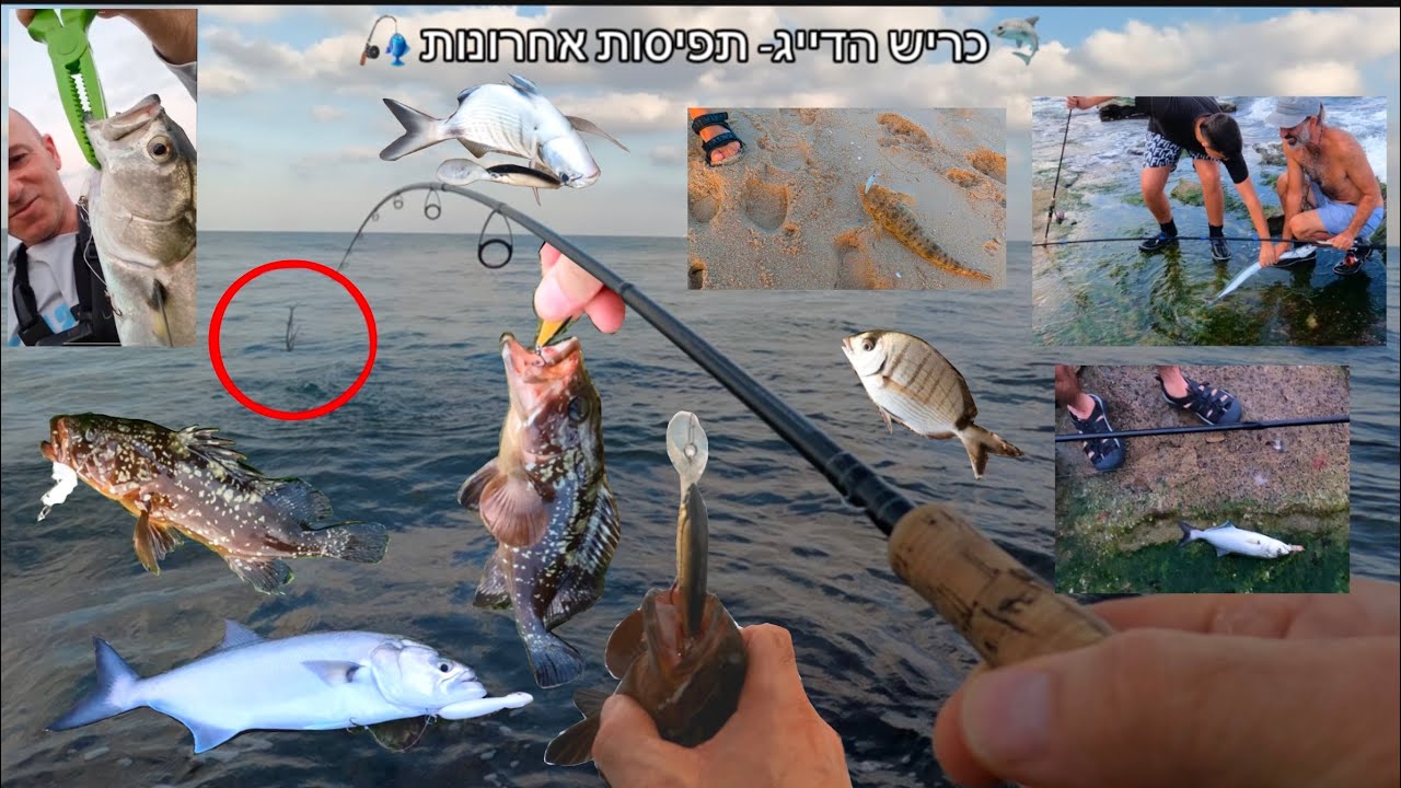 תפיסות החודש🎣🥋 | כריש הדייג 🦈