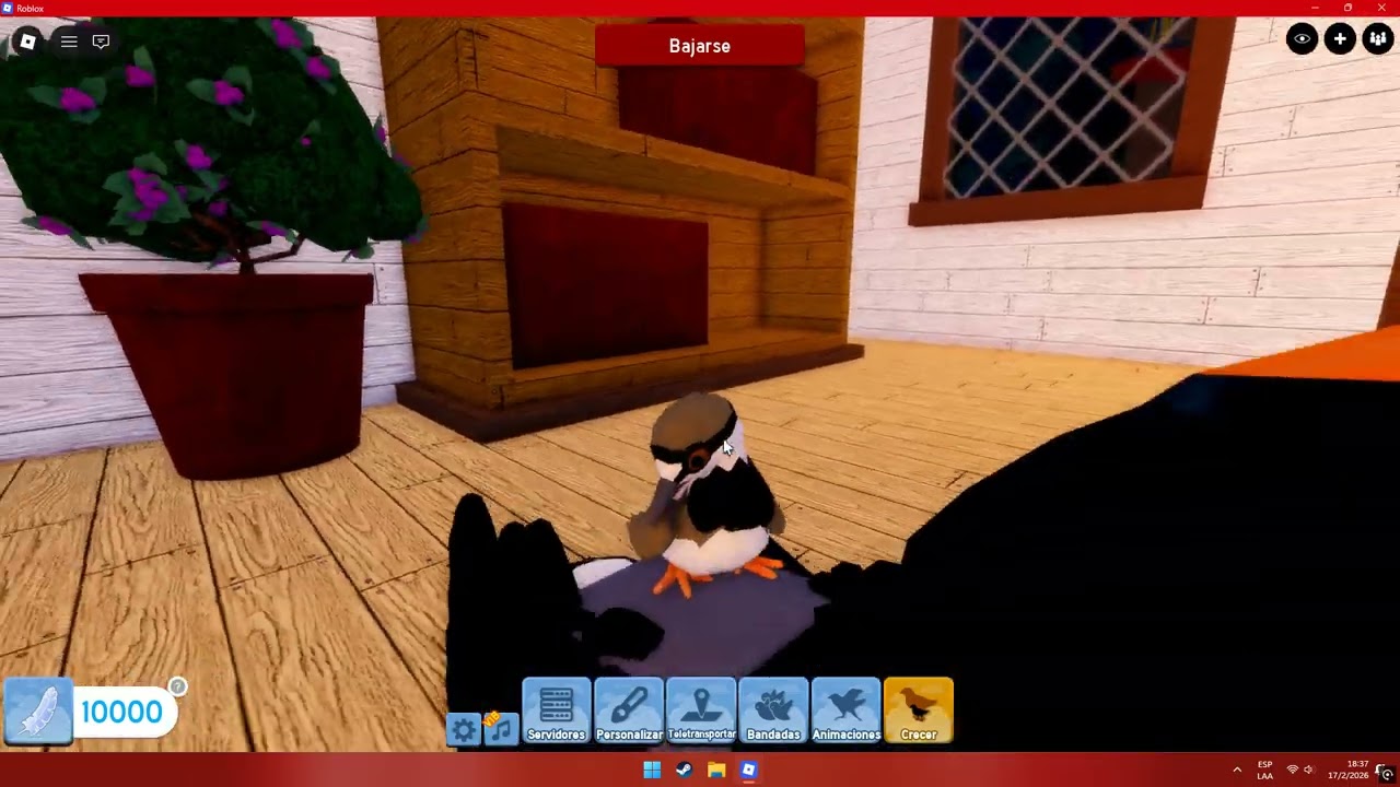 JUEGO UN SERVIDOR DE REALISMO feather family