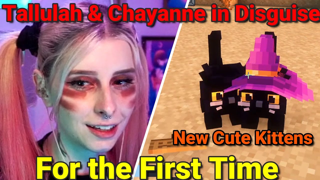 Bagi Meets New Cute Kittens (Admins) For The First Time on QSMP Purgatory Minecraft