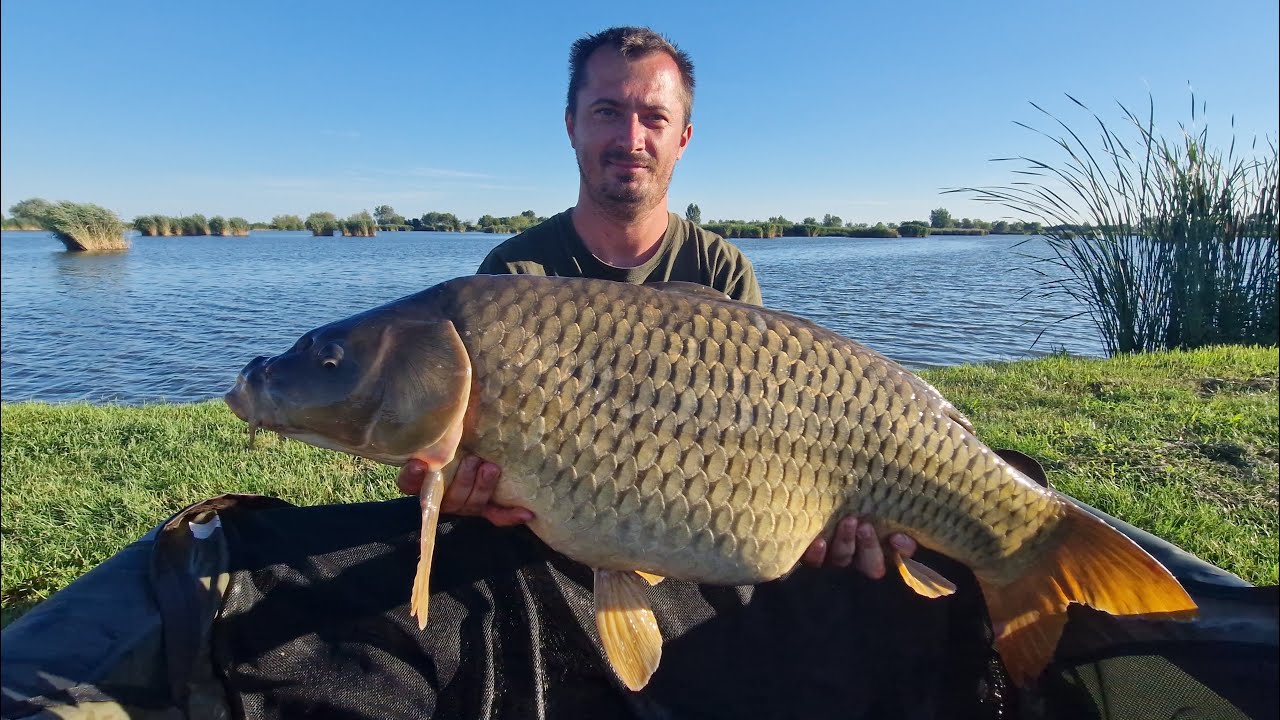 48 órás örömpeca Reed carp laken