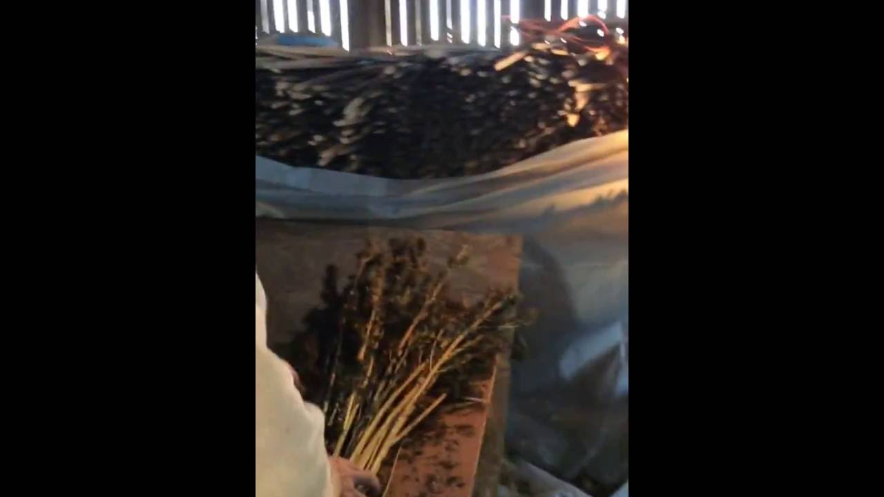 Hemp Leaf Stripper Machine