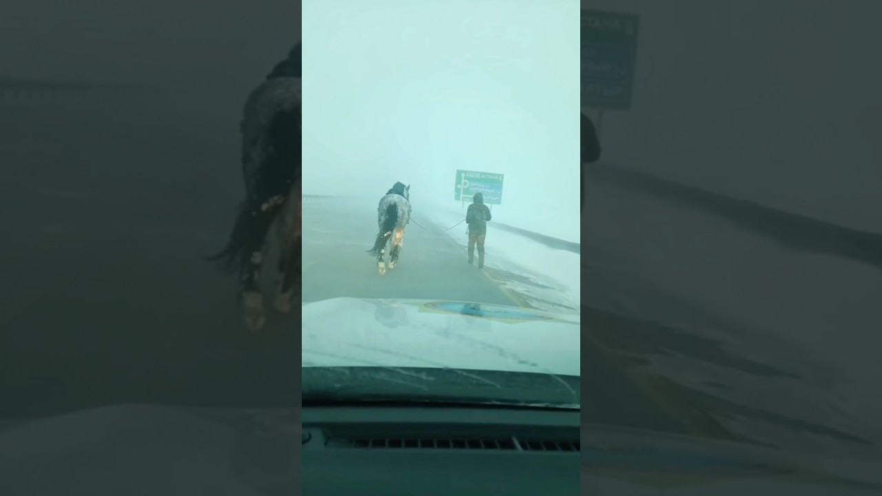 Өткен тәулікте қар құрсауынан 300-ге жуық адам құтқарылды