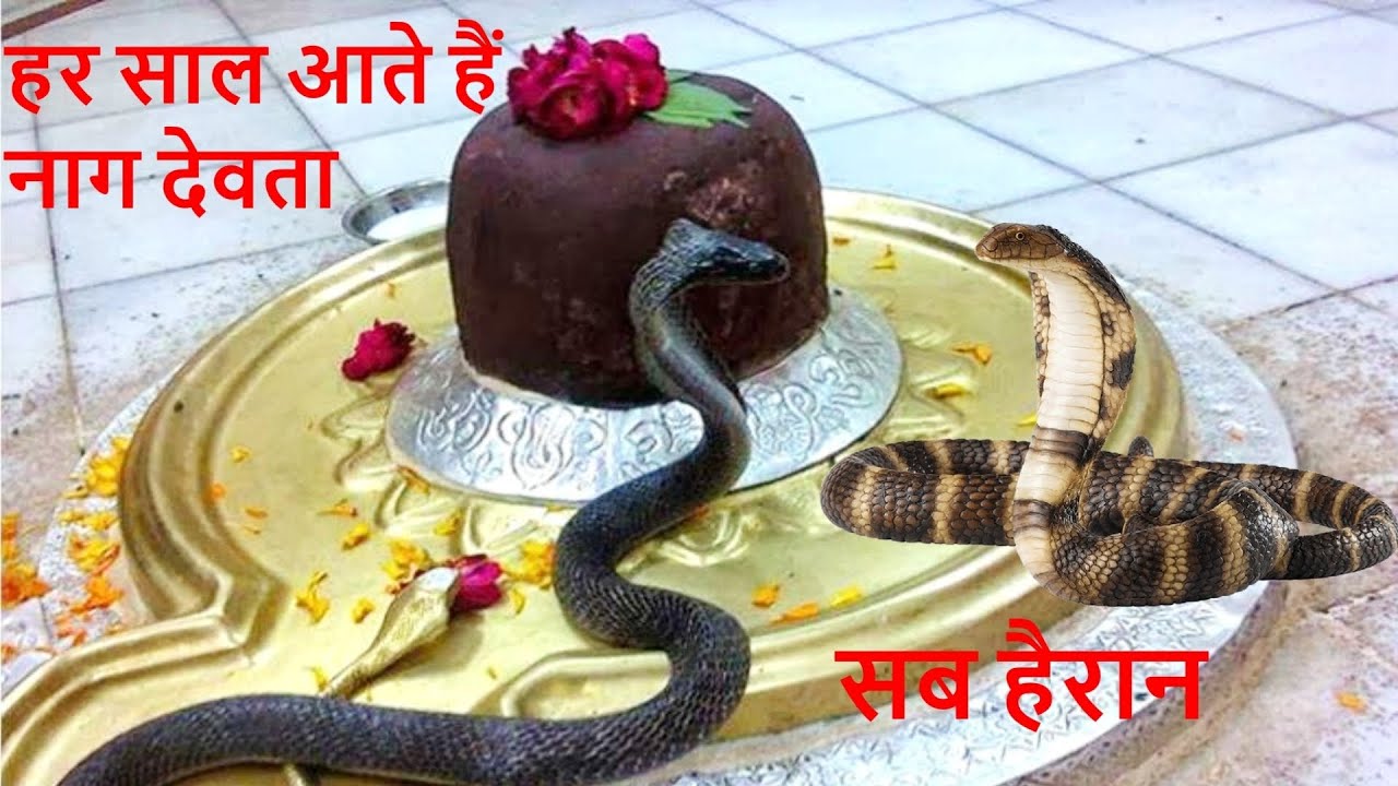 हर साल आते हैं नाग देवता | Arunai Ji | संगमेश्वर धाम | Sangameshwar | Detailed History