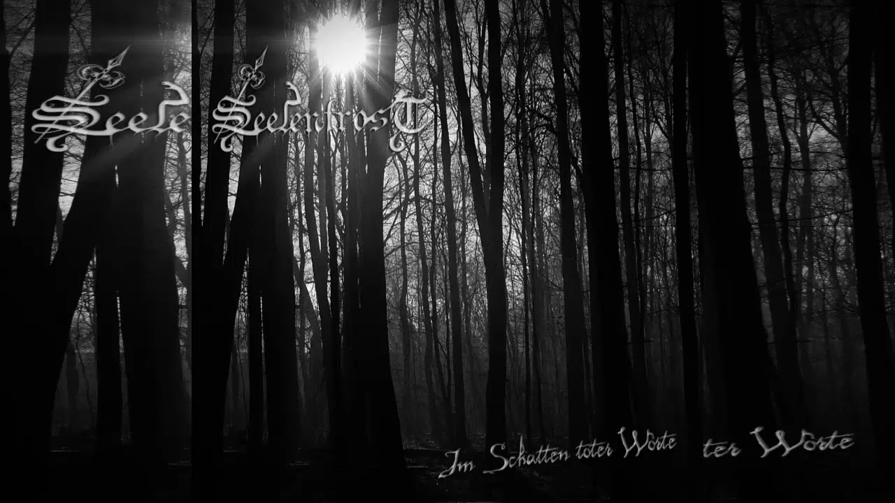 SEELENFROST - IM SCHATTEN TOTER WORTE - FULL ALBUM 2009