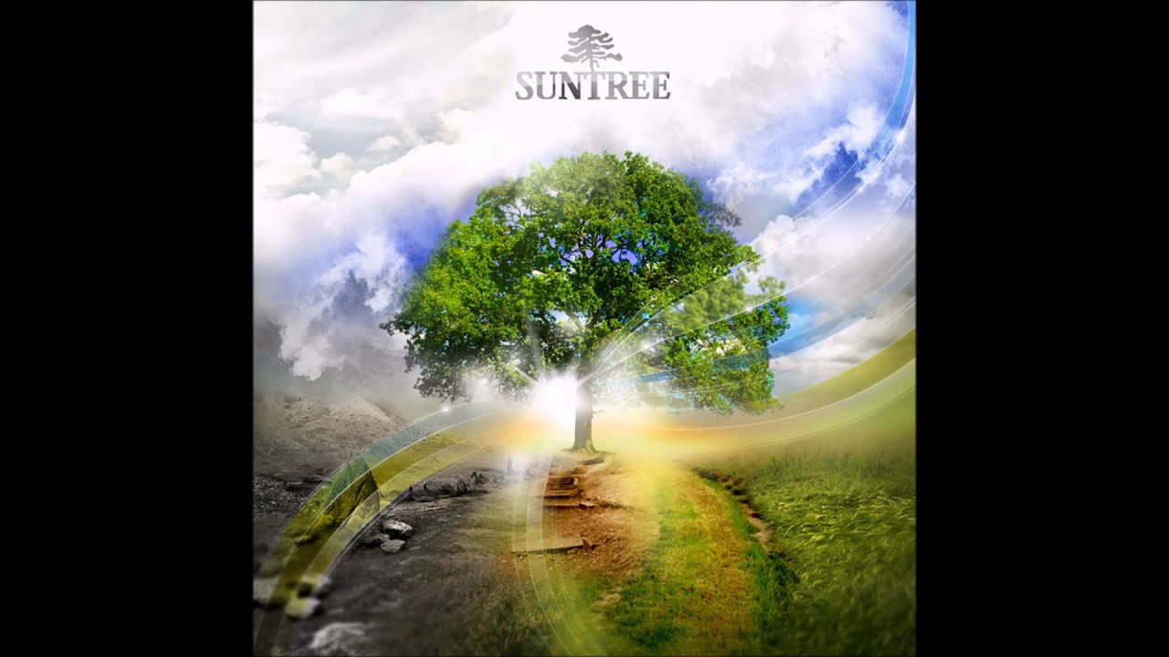 Suntree - Outside (Boom Festival 2014 Edit)