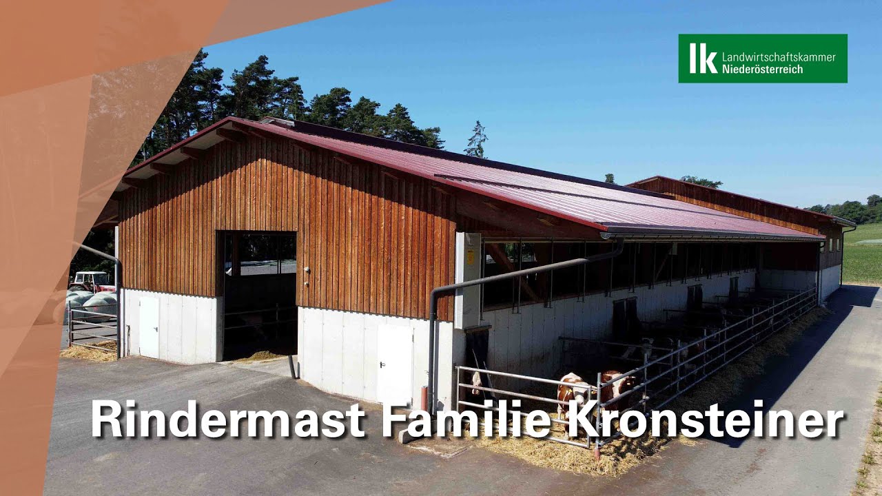 Rindermast Familie Kronsteiner