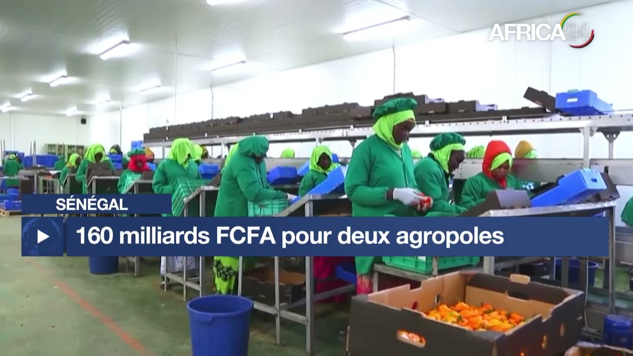 Sénégal : 160 milliards FCFA la construction de deux pôles agro-industriels